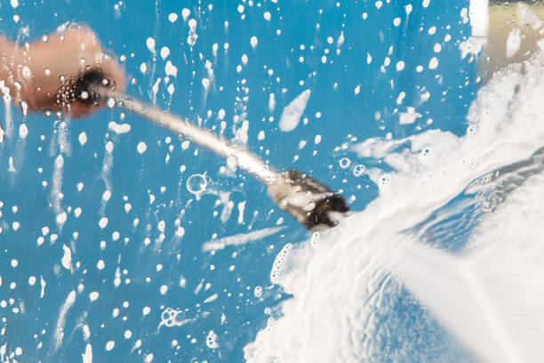 Best Animal Enclosure Cleaning  in Junction City, KY